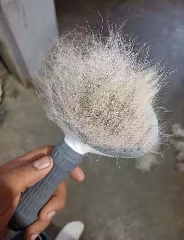 Foto enviada por comprador na avaliação 4 do produto